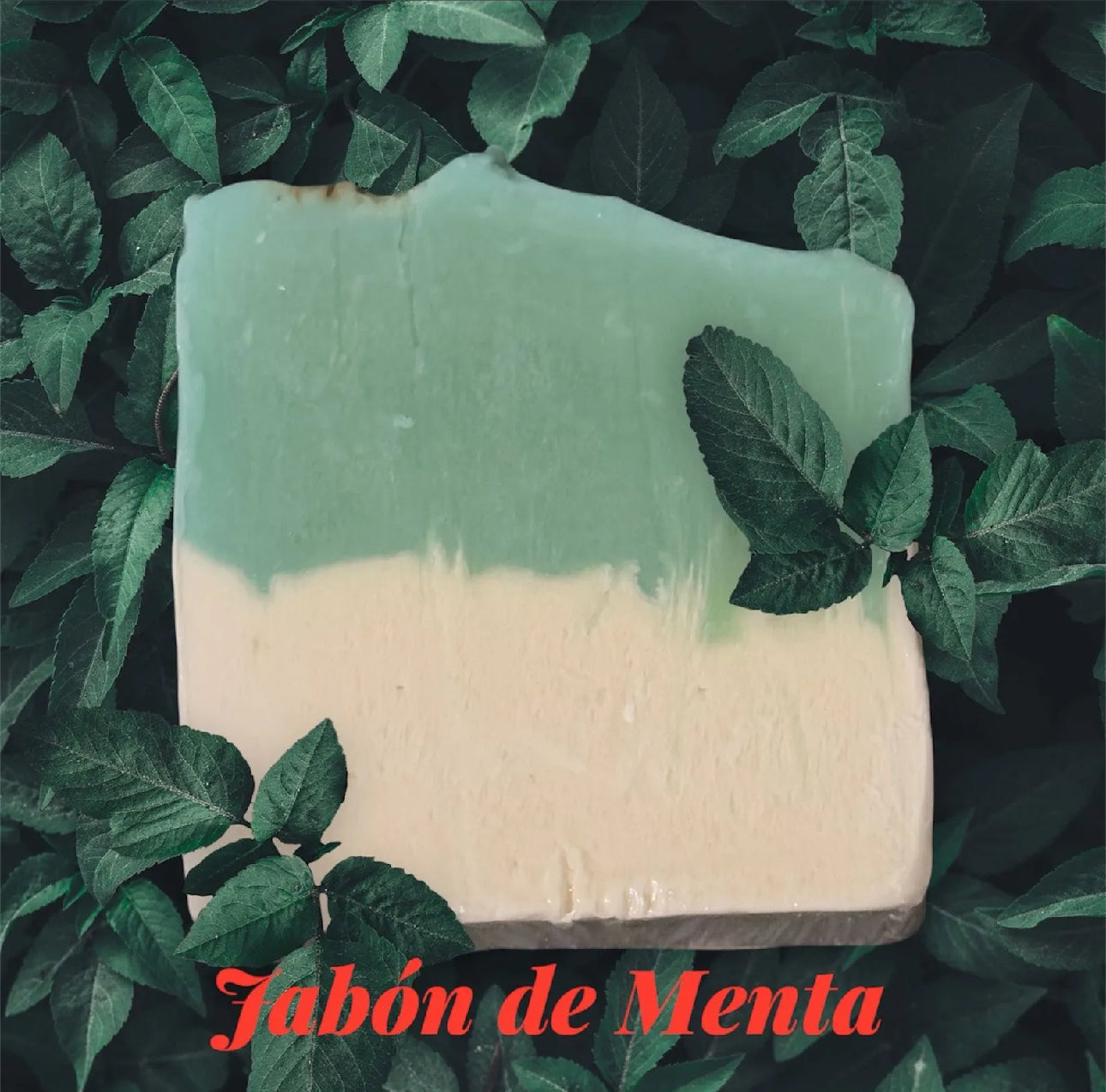 Minty Fresh Soap (Jabón de Menta)