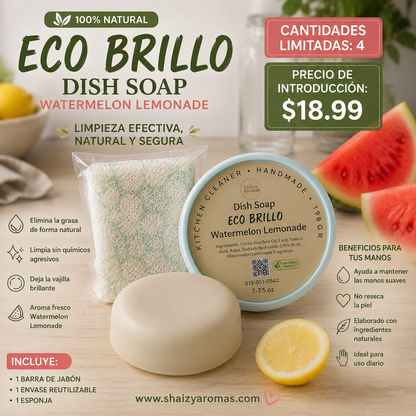 Eco Brillo Dishwashing Bar kit 4